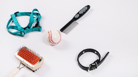 Товары для собак и кошек